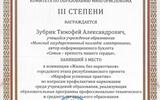 Диплом Зубрик Т.А._page-0001